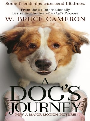 cover image of A Dog's Journey